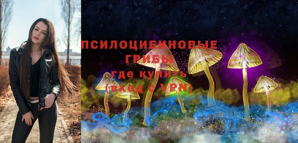 молекула духа Алексеевка
