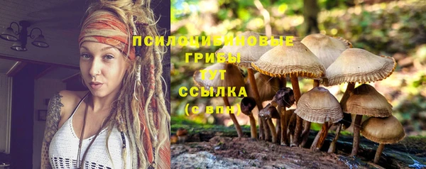 молекула духа Алексеевка