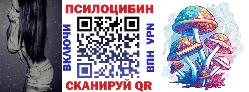 Псилоцибиновые грибы Cubensis  Жиздра 